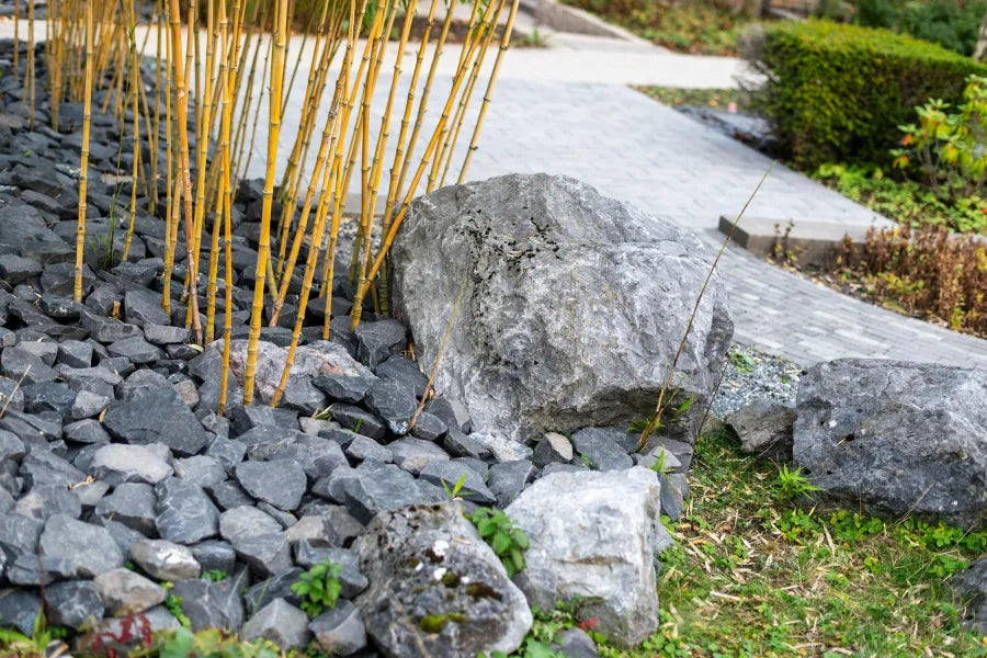 Landscaping Natural Rocks: How Boulder Gardens Transform Outdoor Space